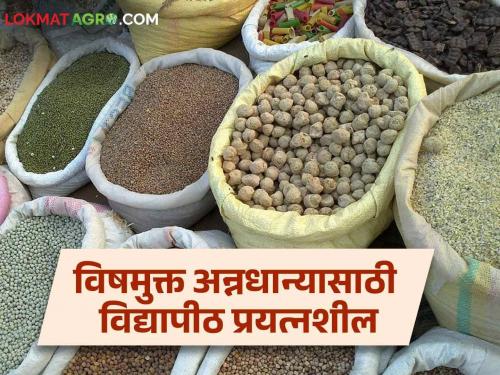 Organic Farming : University of Agriculture initiative for organic production; Including coarse grains | Organic Farming : सेंद्रीय उत्पादनासाठी कृषी विद्यापीठाचा पुढाकार; भरड धान्याचा समावेश