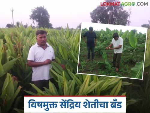 Latest News farmer Success Story Rajendra Kandelkar's successful experiment with organic products | राजेंद्र कांडेलकर यांचा जैविक उत्पादनांचा यशस्वी प्रयोग, दीड लाख शेतकऱ्यांपर्यंत उत्पादन पोहचले!