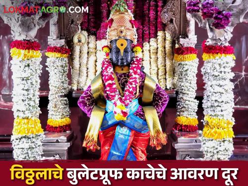 Good news for farmers varkari, Vitthal's padasparsha darshan will start from 2nd June | Vitthal Darshan शेतकरी वारकऱ्यांना आनंदाची बातमी, २ जूनपासून विठ्ठलाचे पदस्पर्श दर्शन सुरू होणार