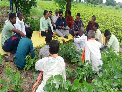 The scientists went to the farmers' dam and guided them | शास्त्रज्ञांनी केले शेतकऱ्यांच्या बांधावर जाऊन मार्गदर्शन