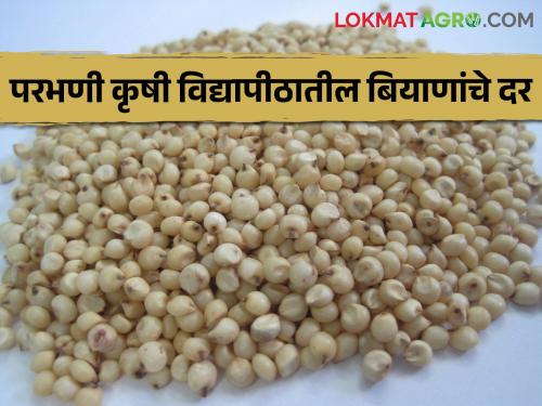 Parbhani Agricultural University will start sale of seeds for Kharif on May 18 | खरीपासाठी परभणी कृषी विद्यापीठाकडून १८ मे ला बियाणे विक्री सुरु होणार