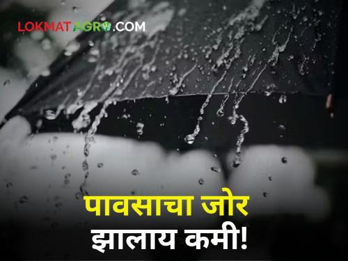 Maharashtra Rain Updates Heavy yesterday but today the rain has subsided red alert | Maharashtra Rain Updates : काल जोरदार पण आज पावसाचा जोर ओसरला! काय आहेत हवामानाचे इशारे?