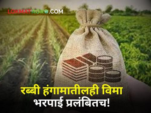 Crop Insurance: Insurance compensation of 170 crores of Rabi season crops is pending with the companies | Crop Insurance : रब्बी हंगामातील पिकांची १७० कोटींची विमा नुकसानभरपाई कंपन्यांकडे प्रलंबित