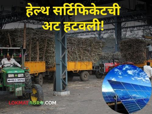 Sugar Factory Solar Project : Good news for factories! The condition of health certificate for solar power plant has been removed | Sugar Factory Solar Project : कारखान्यांसाठी खूशखबर! सौरउर्जा प्रकल्पासाठी असलेली हेल्थ सर्टिफिकेटची अट हटवली