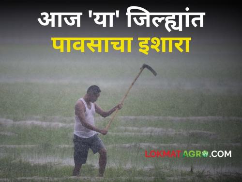 Rain Updates It will rain in these districts today! What are weather warnings? | Rain Updates : राज्यात आज 'या' जिल्ह्यांतच पडणार पाऊस! काय आहेत हवामानाचे इशारे?