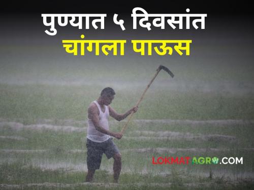 Pune Weather Updates Heavy rain in next 5 days in Pune! What are weather warnings? | Pune Weather Updates: पुण्यात पुढील 5 दिवसांत धोधो पाऊस! काय आहेत हवामानाचे इशारे?