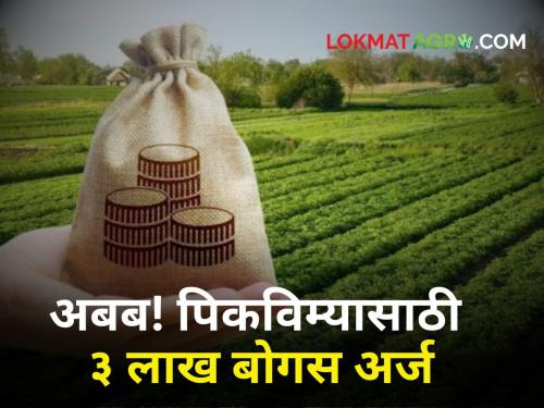 Crop Insurance Apply for crop insurance by showing temple, mosque, municipality, government place! 3 lakh bogus applications rejected!  | Crop Insurance : मंदिर, मस्जिद, पालिकेची, शासकीय जागा दाखवून पिकविम्यासाठी अर्ज! ३ लाखांवर बोगस अर्ज फेटाळले! 