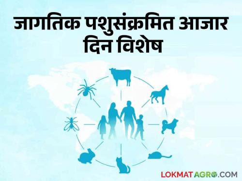 world zoonotic day 2024: befriend with animals; But be aware about animal diseases | world zoonotic day 2024 मैत्र प्राण्यांशी; पण वैर पशुजन्य आजारांशी