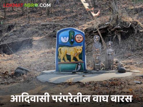 Wagh Baras : Tiger is considered as God in tribal society, what is Waghbaras? Read in detail  | Wagh Baras : आदिवासी बांधवात वाघाला देव मानलं जातं, काय असते वाघबारस? वाचा सविस्तर 