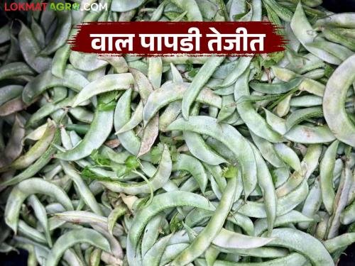 Vegetable market prices increased in Manchar Market Committee; Papadi, Walvad got the highest price | मंचर बाजार समितीत भाजीपाला बाजारभाव वाढले; पापडी, वालवडला मिळाला सर्वाधिक दर