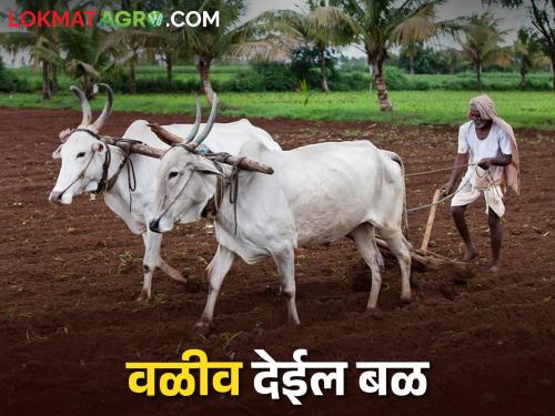 The Kharif season will start on time with the monsoon rains | Kharif वळवाच्या पावसाने खरीप हंगाम होईल का? वेळेत सुरू