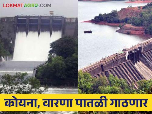 Discharge from Warna and Koyna dams begins, know water level of dams in Kolhapur and Satara districts | Warna & Koyna Dam Water Level: वारणा व कोयना धरणांतून विसर्ग सुरू, जाणून घ्या कोल्हापूर व सातारा जिल्ह्यातील धरणांची पाणीपातळी