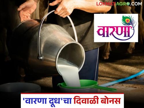 Milk farmers to be given record breaking bill for Diwali; How much will they get per liter? | दिवाळीसाठी दूध उत्पादक शेतकऱ्यांना विक्रमी फरक बिल देण्याचे जाहीर; प्रतिलिटर किती रुपये मिळणार?