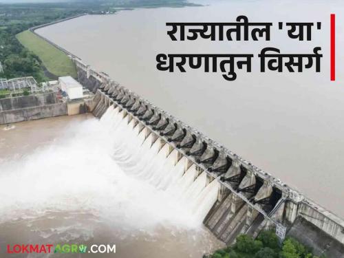 Latest News water discharge from gosekhurd, hatnur, khadakwasala dam, know in detail  | Maharashtra Water Discharged : राज्यातील कोणत्या धरणातून सर्वाधिक विसर्ग, जाणून घ्या सविस्तर 