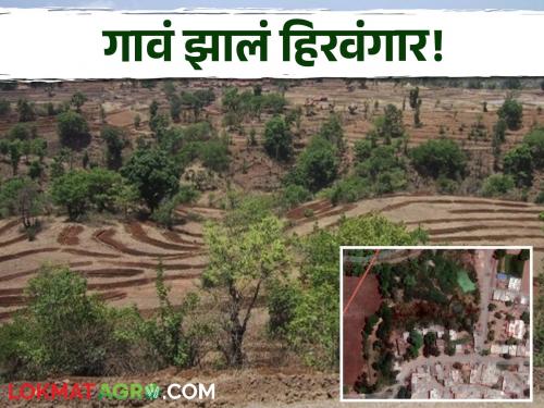 Latest News Cultivation of 25 thousand trees in Bramhanshevge village in Chalisgaon taluka, ground water level improved | चाळीसगावच्या ब्राम्हणशेवगे गावात पाणीटंचाईचं शेवटचं वर्ष, कारण.... वाचा सविस्तर 