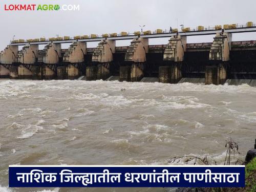 Latest news Nashik dam Storage Dams in Nashik district are overflowing, read full water level of dams | Nashik Dam Storage : नाशिक जिल्ह्यातील धरणे तुडुंब भरली, वाचा तुमच्या जवळच्या धरणांत किती पाणी? 