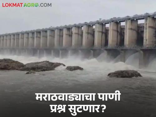 latest news River Linking Project : New direction for drought-free Marathwada; 54 TMC water project coming soon | River Linking Project : मराठवाड्याला दुष्काळमुक्तीची नवी दिशा; ५४ TMC पाण्याचा प्रकल्प लवकरच