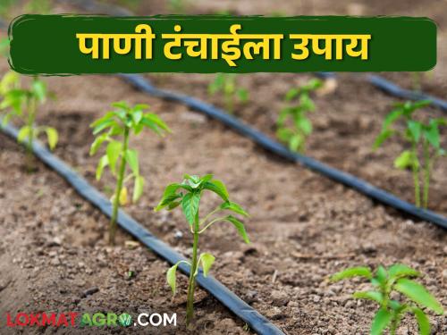 Crops are getting less water; Take these measures | पिकांना पाणी कमी पडतंय; करा ह्या उपाययोजना