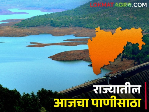 Latest News Only 42 percent water storage in dam of maharashtra | Water Storage : राज्यात 42 टक्केच पाणीसाठा, कोणत्या जिल्ह्यातील धरणात किती पाणी? 