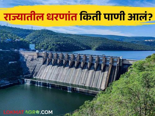 Latest News know Todays maharashtra dam water storage gangapur, koyana, ujani, vaitrana dam storage | Maharashtra Dam Storage : राज्यातील 'हे' धरण 100 टक्के भरलं? जाणून घ्या कुठल्या धरणांत किती पाणी? 