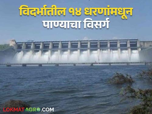 Water Release In Vidarbha : Release of water from these 14 dams in Amravati Division | Water Release In Vidarbha : अमरावती विभागातील 'या' १४ धरणांमधून पाण्याचा विसर्ग