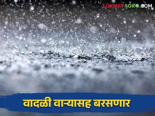 Maharahtra Rain Update : Heavy RainFall in dharashiv district | Maharahtra Rain Update : परतीच्या पावसाचे वातावरण राहणार; चार महिन्यांमध्ये बरसला किती मिमी वाचा सविस्तर