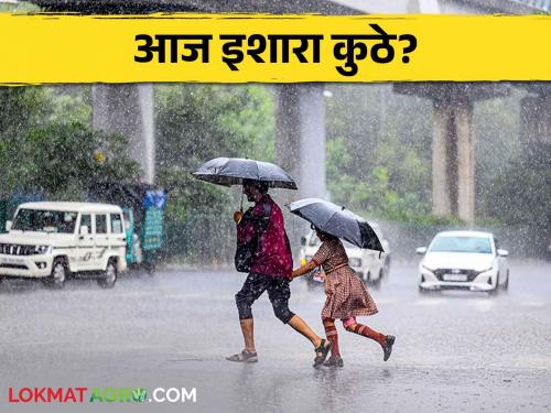 Weather Forecast; Today 'Yellow Alert' for parts of Vidarbha, Marathwada | Weather Forecast आज विदर्भ, मराठवाड्यातील काही भागांसाठी 'यलो अलर्ट'