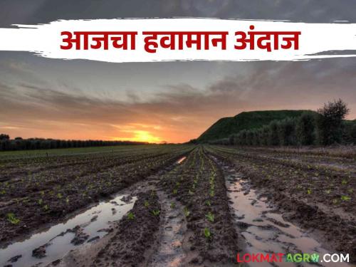 Maharashtra Weather Update: Rain in 'these' districts of Marathwada; Read the IMD report in detail  | Maharashtra Weather Update : मराठवाड्याच्या 'या' जिल्ह्यांत पावसाची शक्यता ; IMD चा रिपोर्ट वाचा सविस्तर 