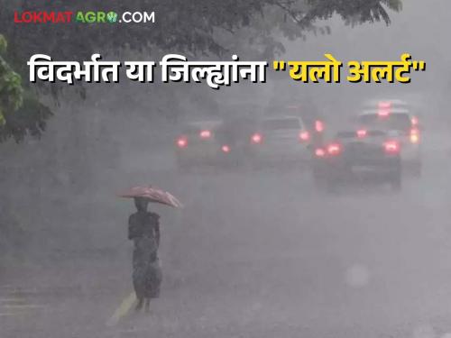 Maharashtra weather update : Low pressure area over Bay of Bengal, chances of scattered rains at 'this' place Read detailed IMD report | Maharashtra weather Update :  बंगालच्या उपसागरात कमी दाबचे क्षेत्र, 'या' ठिकाणी तुरळक पावसाची शक्यता वाचा सविस्तर IMD रिपोर्ट