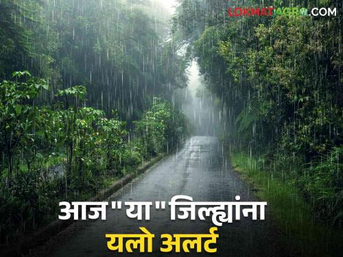 Maharashtra Weather Update : IMD's Yellow Alert for 'These' Districts; It will rain heavily in Vidarbha | Maharashtra Weather Update : IMD चा यलो अलर्ट 'या' जिल्ह्यांना; विदर्भात पाऊस जोरदार बरसणार