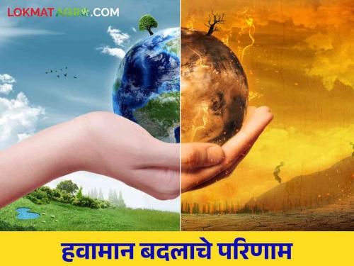 Weather: What will be the consequences if carbon emissions are not reduced? Read in detail | Weather : कार्बन उत्सर्जन कमी प्रमाणात न झाल्यास काय होतील दुष्परिणाम? वाचा सविस्तर