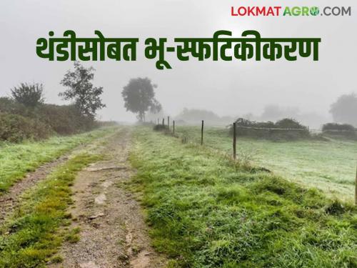 Latest news Maharashtra Weather Update White dew layer with severe cold in North Maharashtra, read details  | Maharashtra Weather Update : उत्तर महाराष्ट्रात कडाक्याच्या थंडीसह पांढऱ्या दवाचा थर, वाचा सविस्तर 