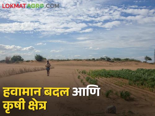 Latest News warming and climate change effect on Agriculture sector see details | Weather : शेती क्षेत्राला तापमानवाढ आणि हवामान बदलाचा फटका, काय व्यवस्थापन कराल?