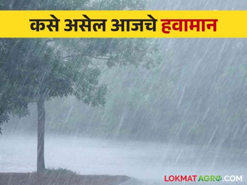 Maharashtra Weather Update : Will the dormant rains reactivate? Read the report of IMD  | Maharashtra Weather Update : विश्रांती घेतलेला पाऊस पुन्हा सक्रिय होणार का? IMD चा वाचा रिपोर्ट 