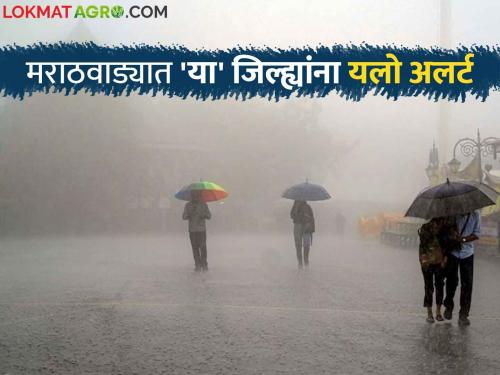 Maharashtra Weather Update : Returning Monsoon begins in the state; Read the detailed IMD report in which districts will receive rain | Maharashtra Weather Update : राज्यात परतीच्या मॉन्सूनला सुरुवात; कोणत्या जिल्ह्यांत येणार पाऊस वाचा सविस्तर IMD रिपोर्ट