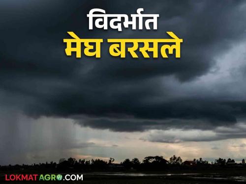 Nagpur Weather News: The observatory forecast came true; In Vidarbha, it rained in most of the districts  | Nagpur Weather News : वेधशाळेचा अंदाज खरा ठरला ; विदर्भात बहुतेक जिल्ह्यांत सरी बरसल्या 