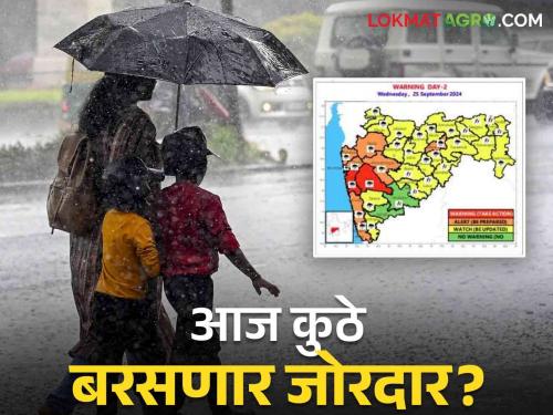 Maharashtra Weather Updates: Red alert in 'these' districts today; Read the IMD report for vigilance orders   | Maharashtra Weather Updates: आज 'या' जिल्ह्यांत रेड अलर्ट; सतर्क राहण्याचे आदेश वाचा IMD रिपोर्ट  