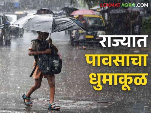 Maharashtra Weather Update: Heavy rainfall continues in the Maharashtra State; Red Alert in 'These' Districts Read IMD Report | Maharashtra Weather Update : राज्यात पावसाचा जोर कायम; 'या' जिल्ह्यांत रेड अलर्ट वाचा IMD रिपोर्ट 