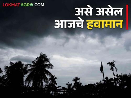 Maharashtra weather update : It will rain heavily in this district today; Read the IMD report in detail | Maharashtra weather update : आज 'या' जिल्ह्यात जोरदार बरसणार; वाचा IMD रिपोर्ट सविस्तर