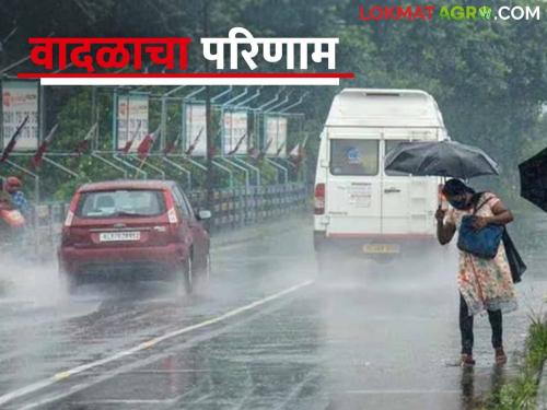 Maharashtra Weather Update : Read the IMD report on the possibility of rain in "this" district of the state   | Maharashtra Weather Update :  राज्यात "या" जिल्ह्यात पावसाची शक्यता वाचा IMD रिपोर्ट  