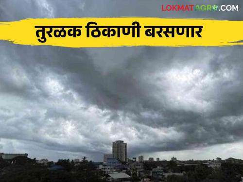 Maharashtra Weather Update : Chance of light to moderate showers today; Read the IMD report in detail   | Maharashtra Weather Update : आज हलक्या ते मध्यम सरी बरसण्याची शक्यता; IMD रिपोर्ट वाचा सविस्तर  