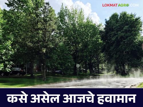 Maharashtra Weather Update : Today rain will get a holiday;  But will be present in 'this' district  | Maharashtra Weather Update : राज्यात आज पाऊस घेणार सुट्टी;  मात्र 'या' जिल्ह्यात लावणार हजेरी 