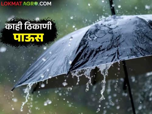 Maharashtra Weather Update : It will rain heavily in some district today; Read IMD's report in detail  | Maharashtra Weather Update : आज 'या' जिल्ह्यात जोरदार बरसणार; IMD चा रिपोर्ट वाचा सविस्तर 