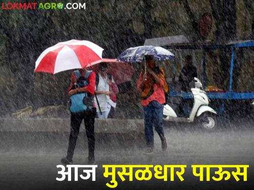 Maharashtra Weather Update : It will rain in 'these' districts in the next 48 hours; Read the IMD report in detail | Maharashtra Weather Update : येत्या ४८ तासात 'या' जिल्ह्यांत बरसणार; IMD चा रिपोर्ट वाचा सविस्तर