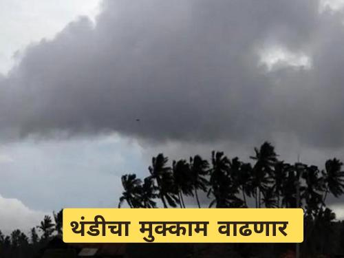 Latest News Cold weather in Nashik, Mumbai but rain and hailstorm in Vidarbha, read weather forecast | नाशिक, मुंबईला थंडी तरी विदर्भात पाऊस अन् गारपीट, वाचा हवामान अंदाज 