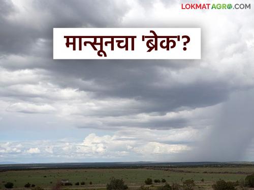 latest news Maharashtra Weather Update: Opportunity for relaxation during monsoon! Big relief for farmers Read in detail | Maharashtra Weather Update : मान्सूनमध्ये विश्रांतीची संधी! शेतकऱ्यांसाठी मोठा दिलासा वाचा सविस्तर
