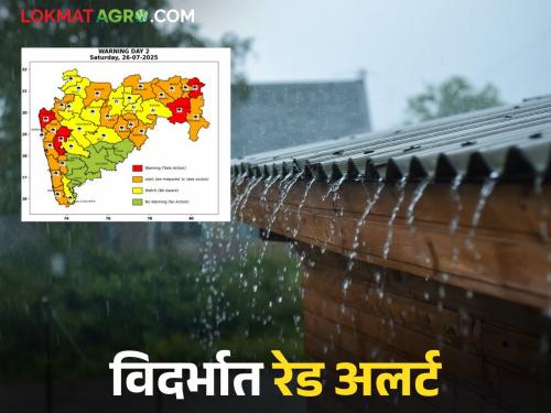 latest news Maharashtra Weather Update: Heavy rain! Next 24 hours are very important, read in detail | Maharashtra Weather Update : धो-धो पाऊस! पुढील २४ तास अत्यंत महत्त्वाचे वाचा सविस्तर