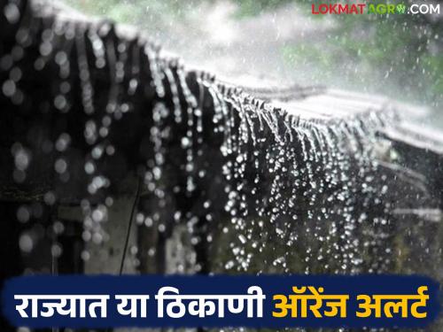 Orange alert in these districts for the next two days in the state; Heavy rains likely | राज्यात पुढील दोन दिवसांसाठी या जिल्ह्यांत ऑरेंज अलर्ट; मुसळधार पावसाची शक्यता