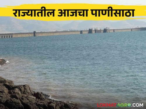 Latest News Maharashtra Dam Storage How much water is available for Rabi in dams of maharashtra know in detail  | Maharashtra Dam Storage : राज्यातील धरणांत रब्बीसाठी किती पाणी उपलब्ध, जाणून घ्या सविस्तर 