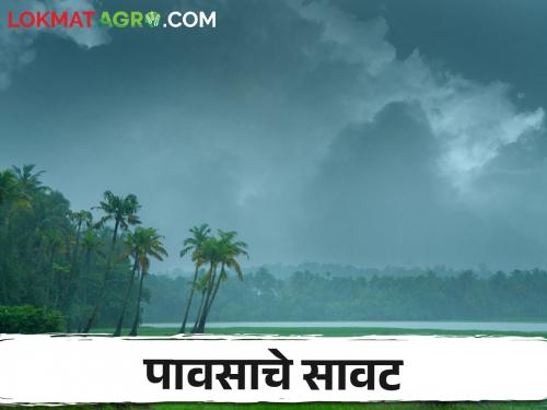 Maharashtra Weather Update : Chance of rain with gale in 'Ya' district; Read the IMD report in detail | Maharashtra Weather Update : 'या' जिल्ह्यात वादळी वाऱ्यासह पावसाची शक्यता; IMD चा रिपोर्ट वाचा सविस्तर